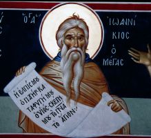 Икона Иоанникий Великий, прп.