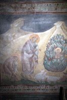 Икона Неопалимая Купина (нетрадиционной иконографии)
